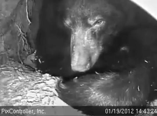 Jewel - Jan 19, 2012