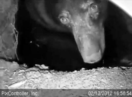 Jewel - Feb 13, 2012