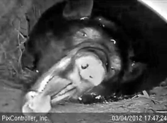 Jewel opens wide - March 4, 2012