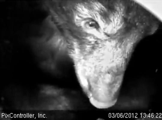 Jewel up close! - March 6, 2012