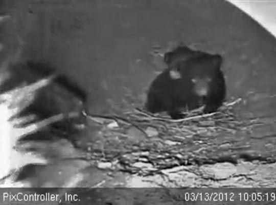 Herbie and Fern - March 13, 2012