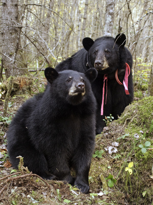 Fern and Jewel - Sept 28, 2012