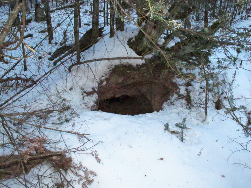 Jewel's den - Dec 27, 2011