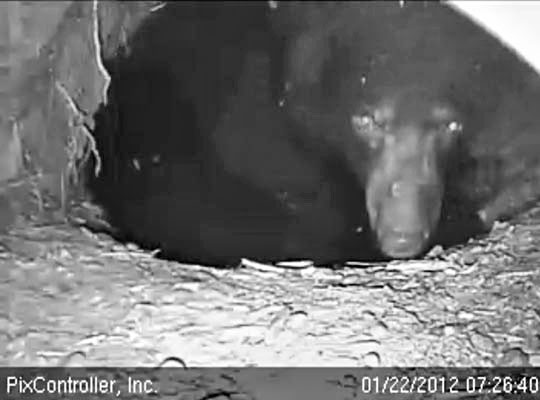 Jewel glances towards camera - Jan 22, 2012