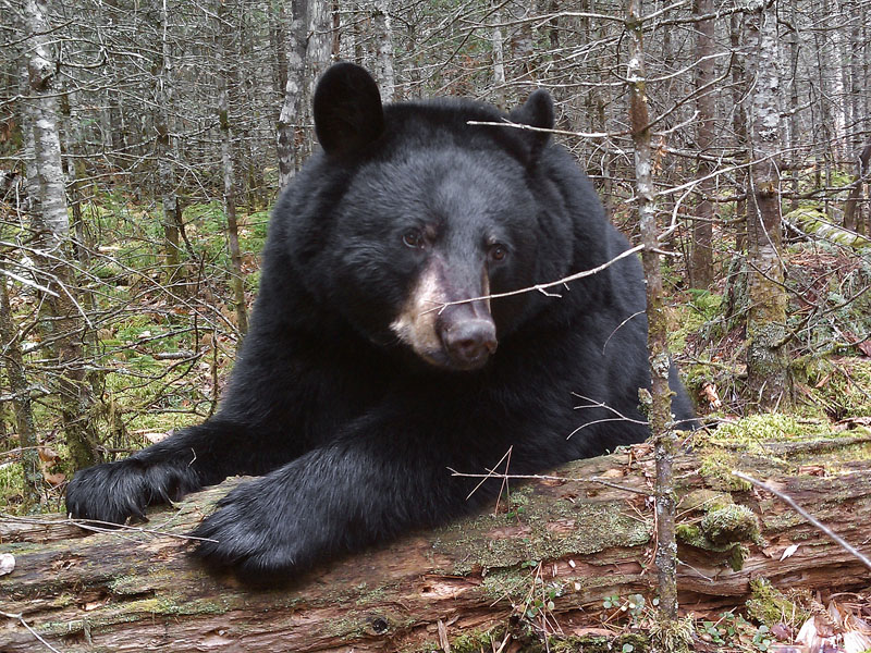 Jo - October 25, 2011