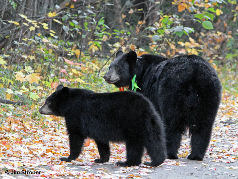 Jo and_Victoria_-_20111001