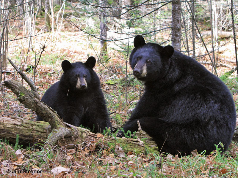 Jo and_Victoria_-_20111024