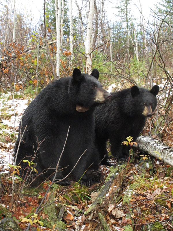 Jo and_Victoria_-_20111027