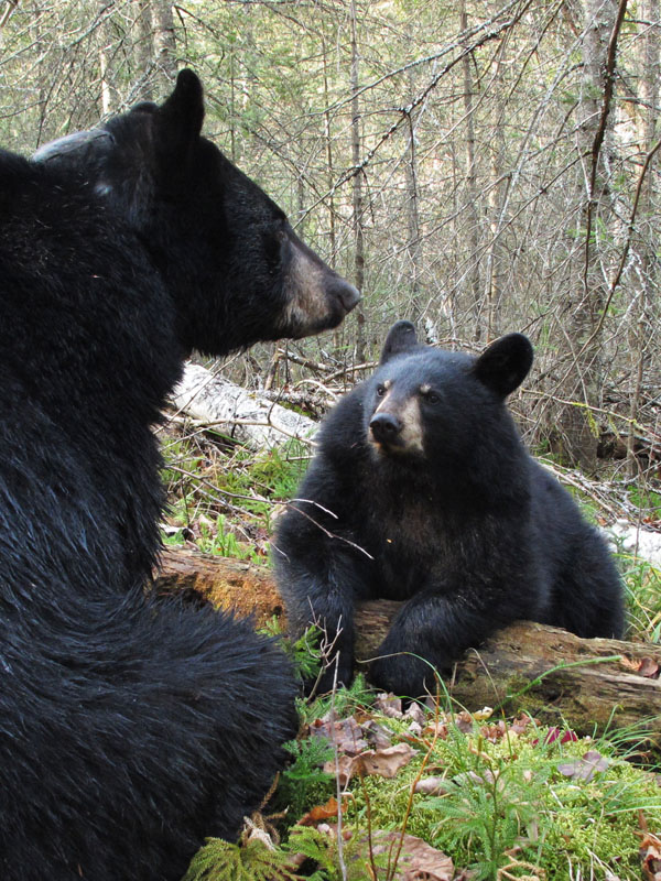 Jo & Victoria - Nov 5, 2011