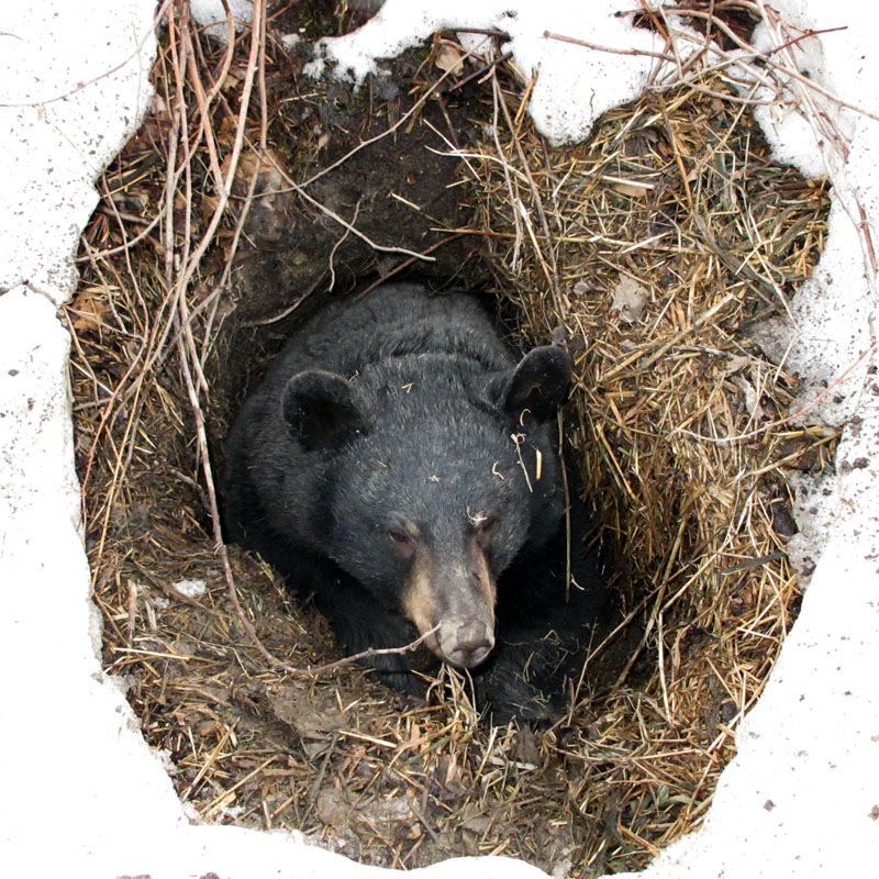 Jo_at_den_entrance_-_20110321