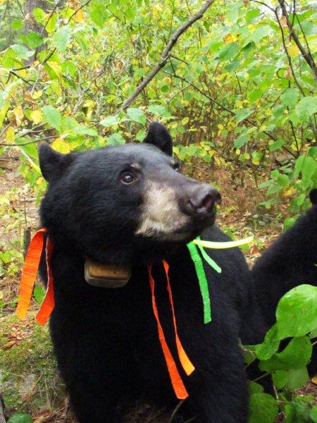 Jo_w_ribbons_9-18-11