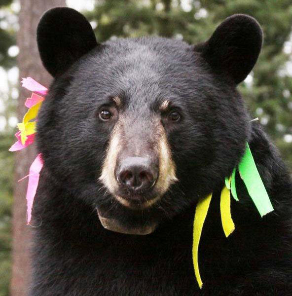 Gentle Jo with calm eyes