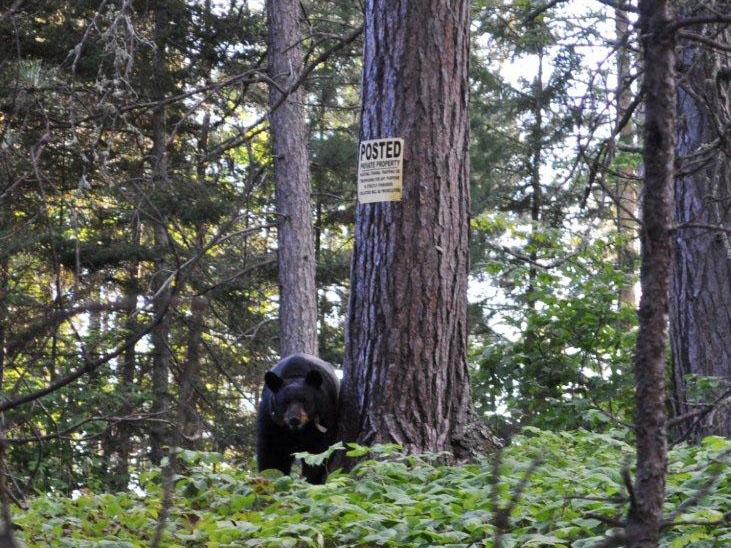 Juliet__sign_8-9-11a