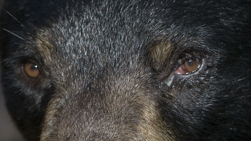 June-eye_20110802_cr