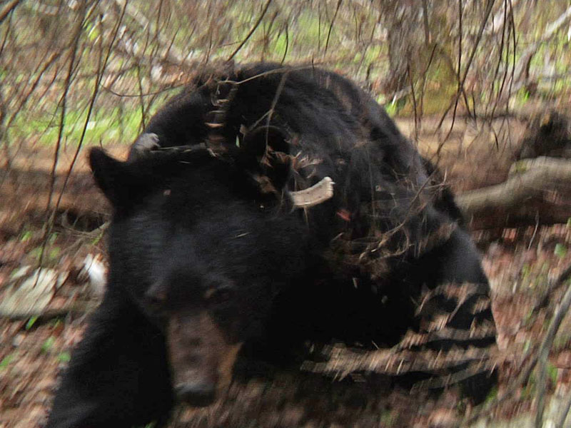 June_blustery_-_20110520