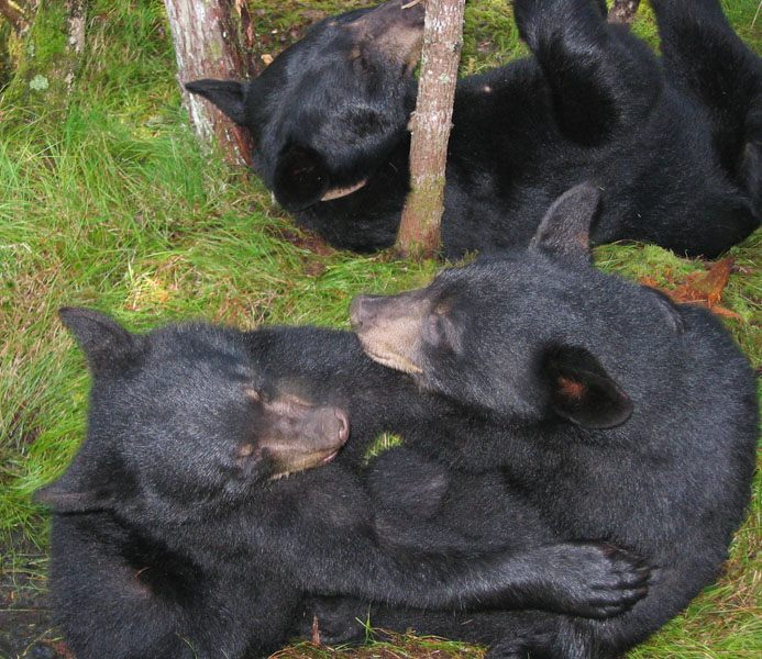 George and Pete play as June rests - August 16, 2005