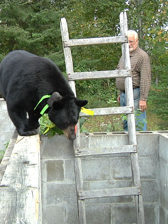 June_supervising_rescue_-_20110903