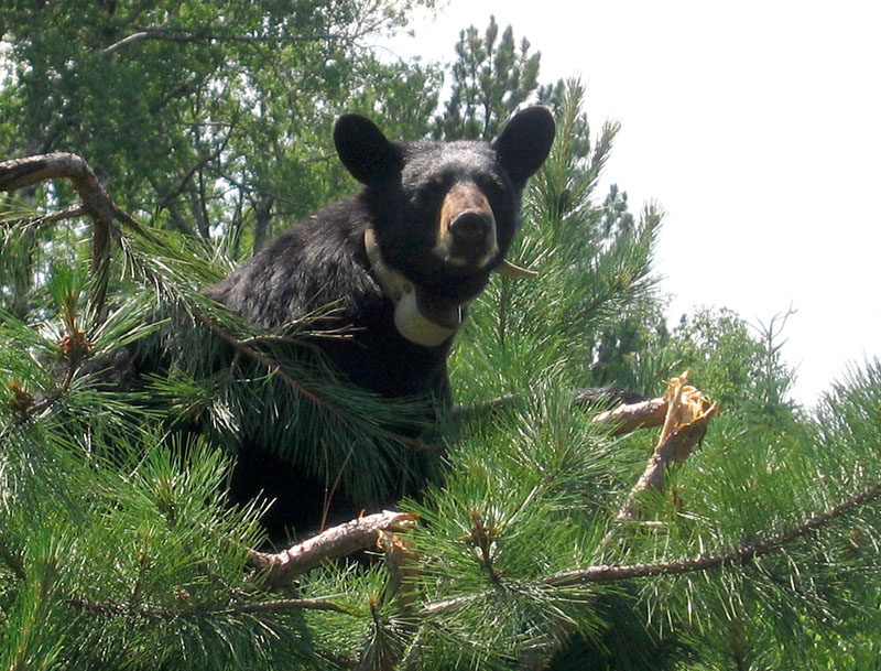 "Look at me!" - July 15, 2004