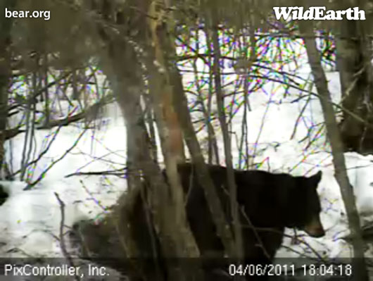 Lily_-_20110406_180418