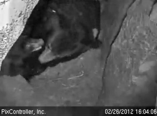 Lily and Faith play - Feb 26, 2012