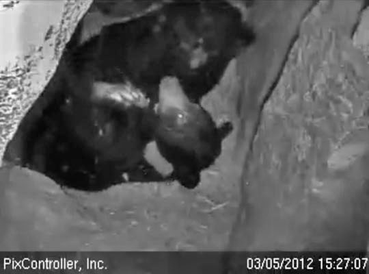 Lily and Faith play - March 5, 2012