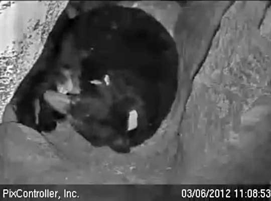 Lily and Faith play - March 6, 2012