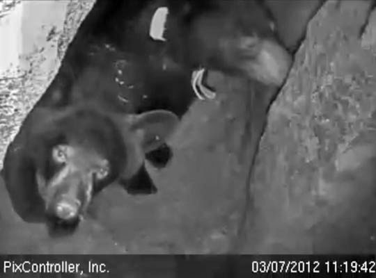 Faith and Lily - March 7, 2012