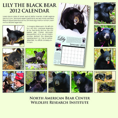 Lily Family_2012_back