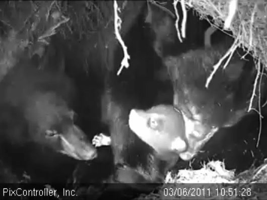 Lily_Hope_and_Jason_-_20110306_105128