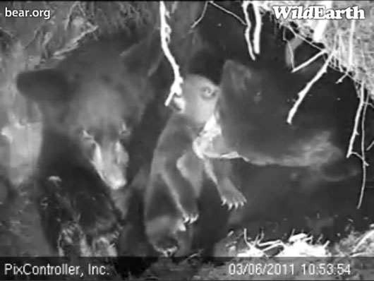 Lily_Hope_and_Jason_-_20110306_105354