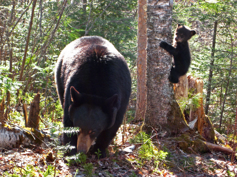 Lily_and_Faith_-_20110502