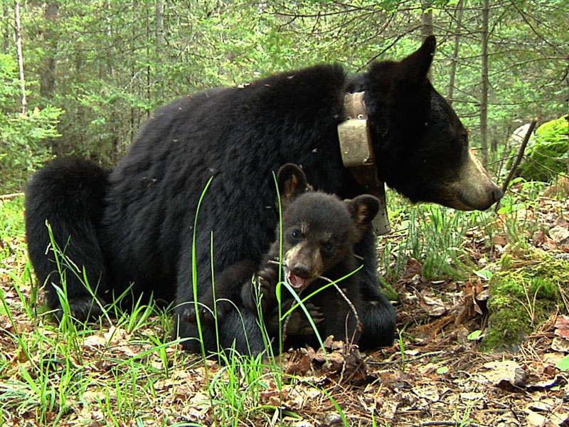 Lily_and_Faith_-_20110603