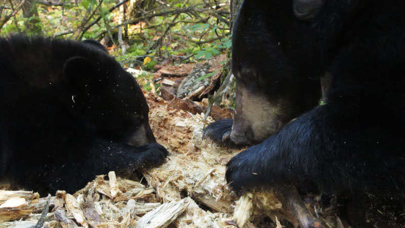 Lily and_Faith_-_20110925