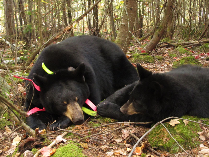 Lily and_Faith_-_20110928