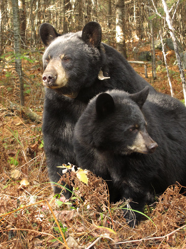 Lily & Faith - Oct 19, 2011