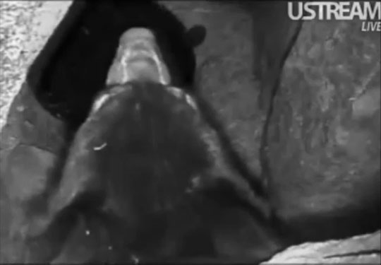 Lily and Faith - Dec, 20, 2011