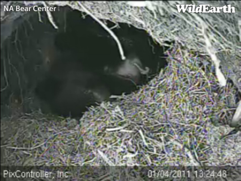 Lily_and_Hope_-_20110104_132448