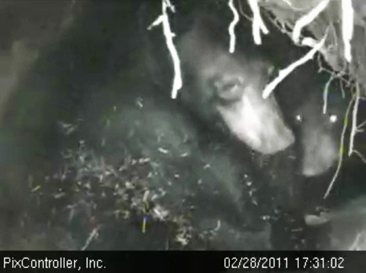 Lily_and_Hope_-_20110228_173102