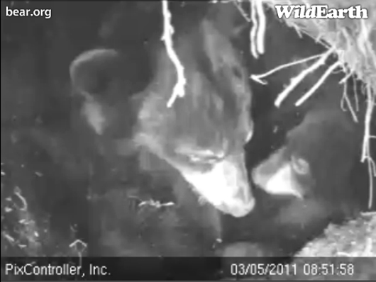 Lily_and_Hope_-_20110305_085158