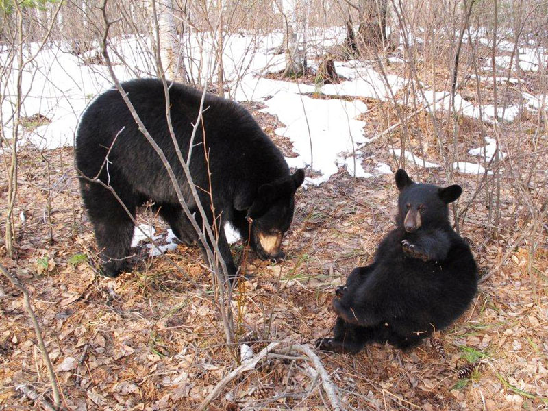 Lily_and_Hope_-_20110408