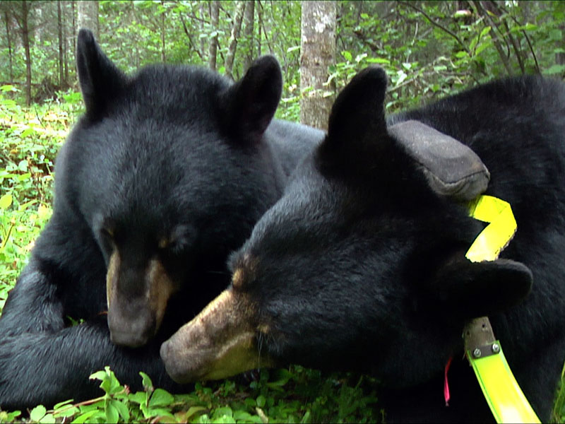 Lily_and_Hope_-_20110901