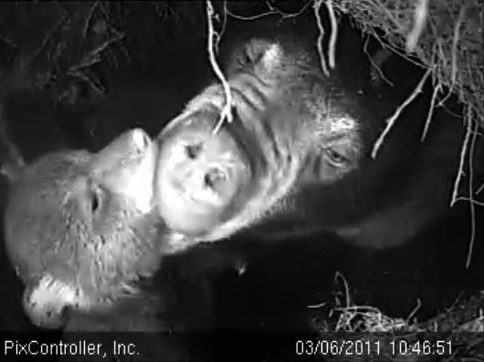 Lily_and_Jason_-_20110306_104651