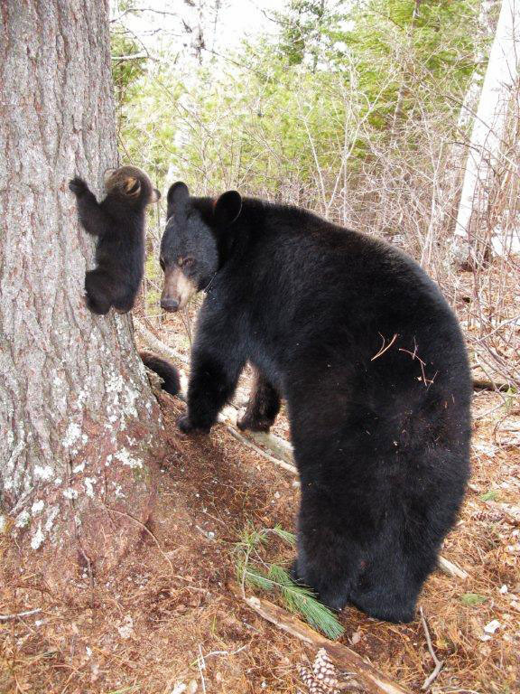 Lily_and_Jason_-_20110408