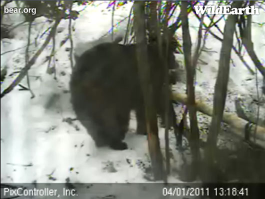 Lily_at_den_-_20110401_131841