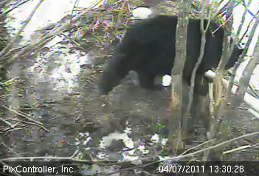 Lily_at_den_-_20110407_133028