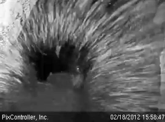 Snow cascades into Lily's den - Feb 18, 2012