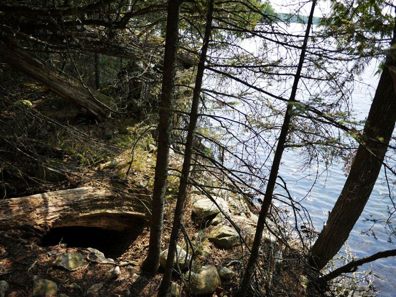 Lily's 2010 lakefront den - July 2, 2012