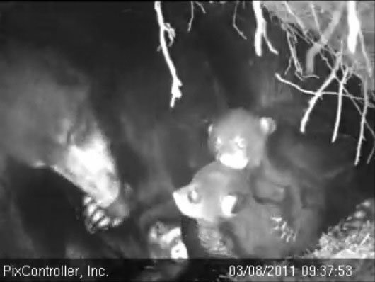 Lily_et_al_-_20110308_093753