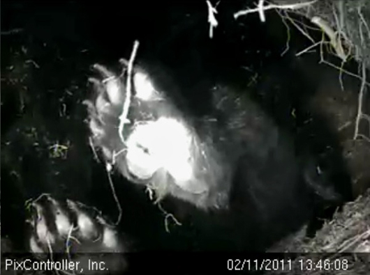 Lily_feet_-_20110211_134608