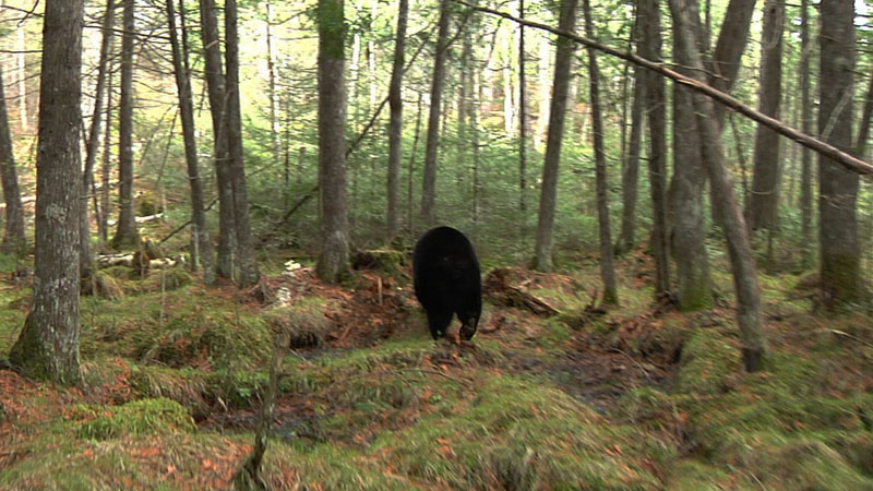 Lily making tracks after breakup with Faith - May 7, 2012